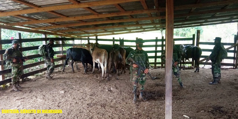 EJERCITO2